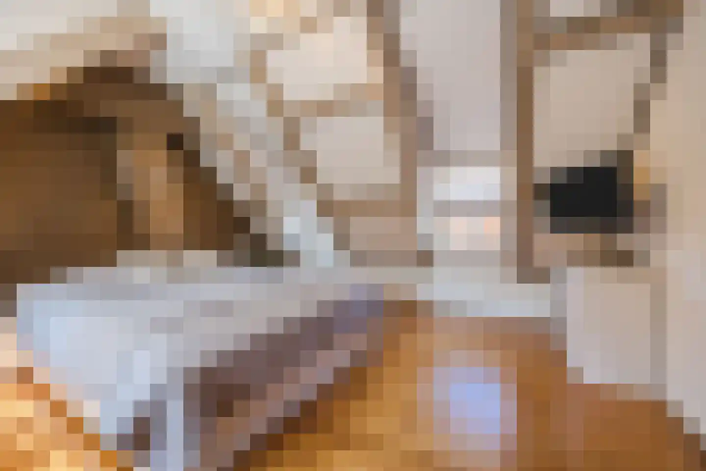 Oude Hoofdweg 31 Zegge thumbnail 37