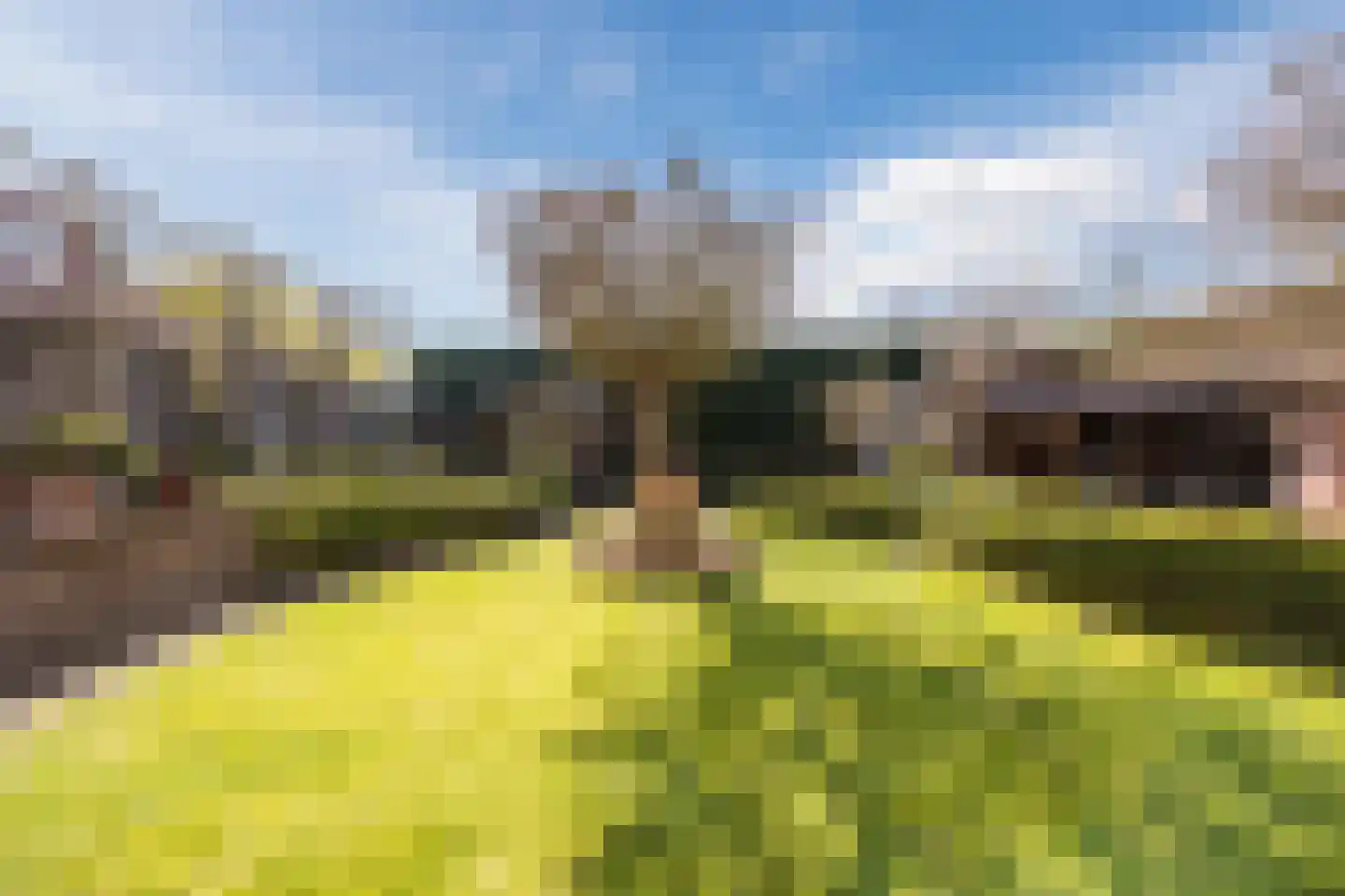 Oude Hoofdweg 31 Zegge thumbnail 4