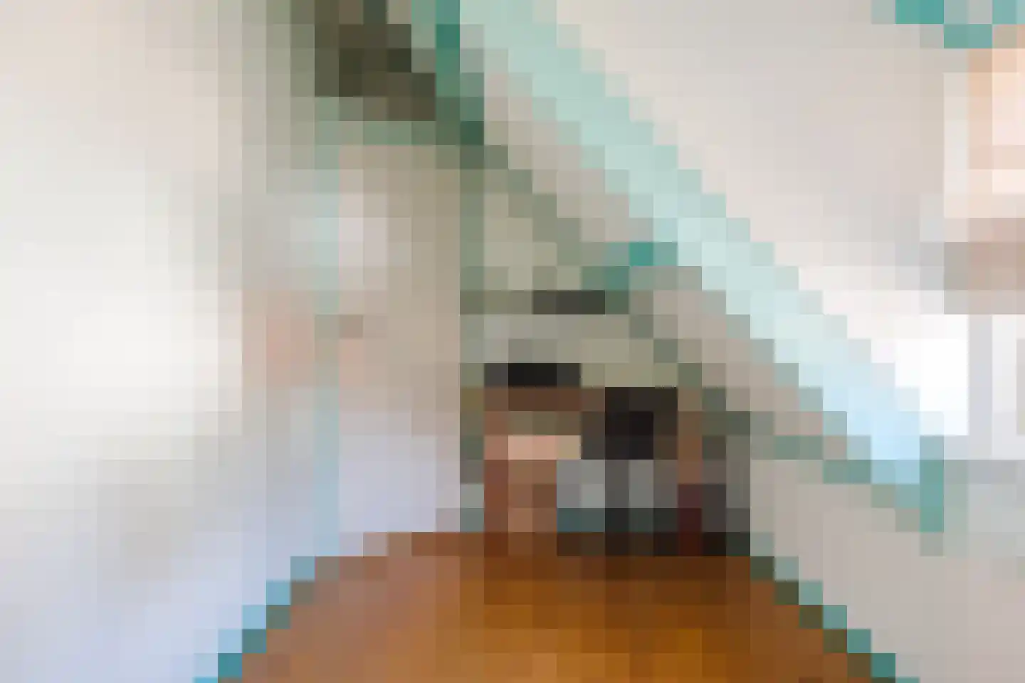 Oude Hoofdweg 31 Zegge thumbnail 41