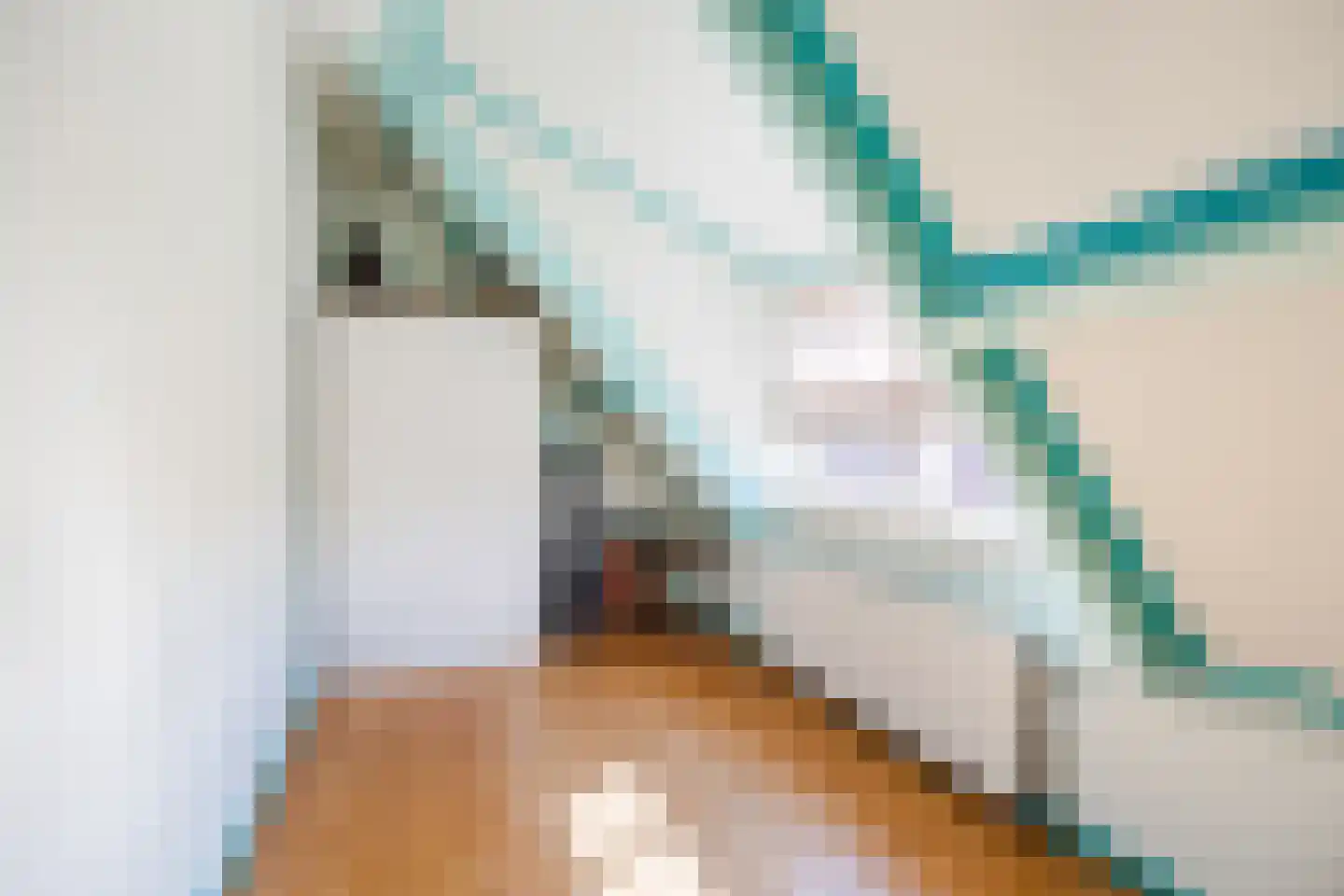 Oude Hoofdweg 31 Zegge thumbnail 43