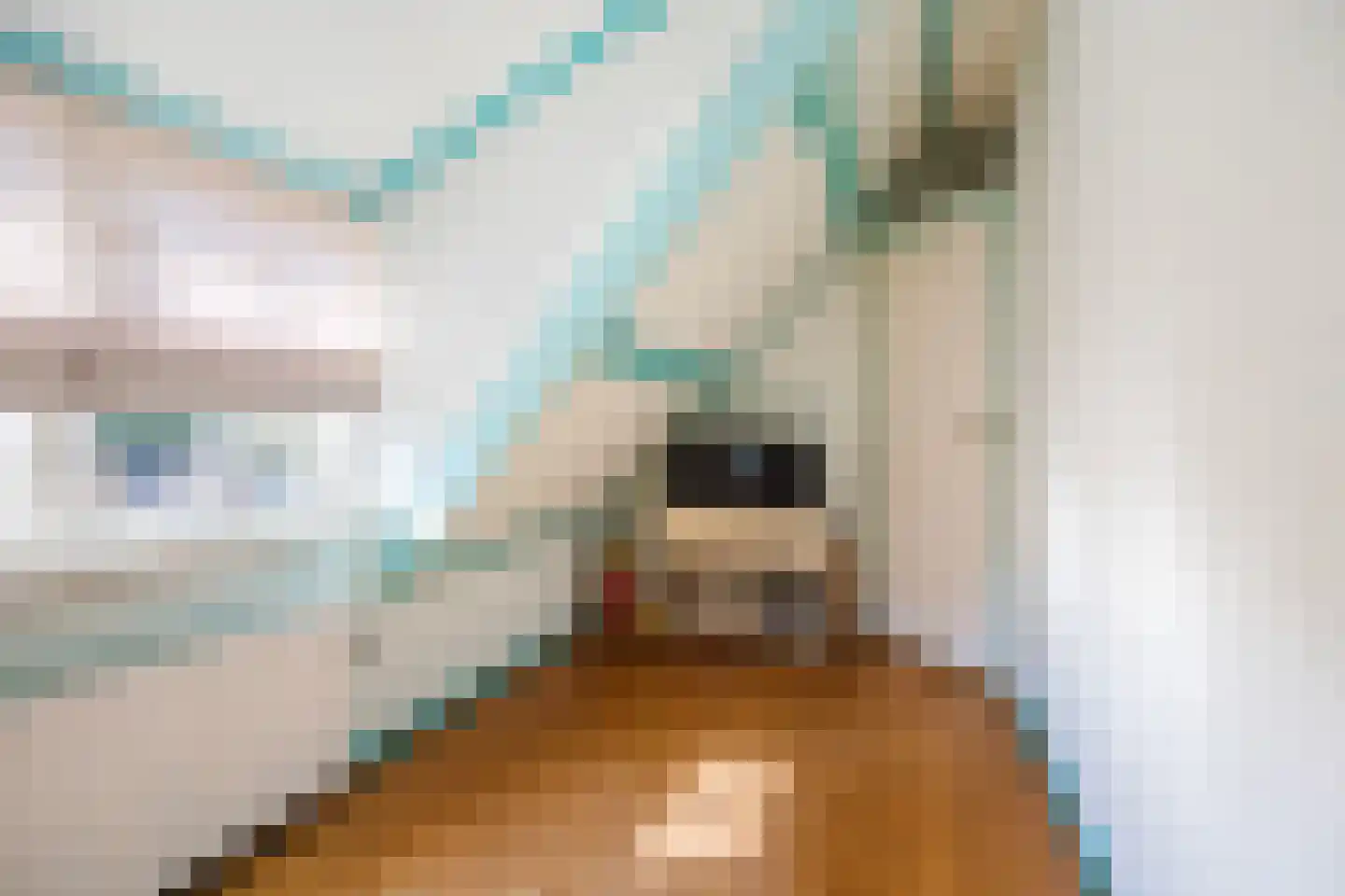 Oude Hoofdweg 31 Zegge thumbnail 44