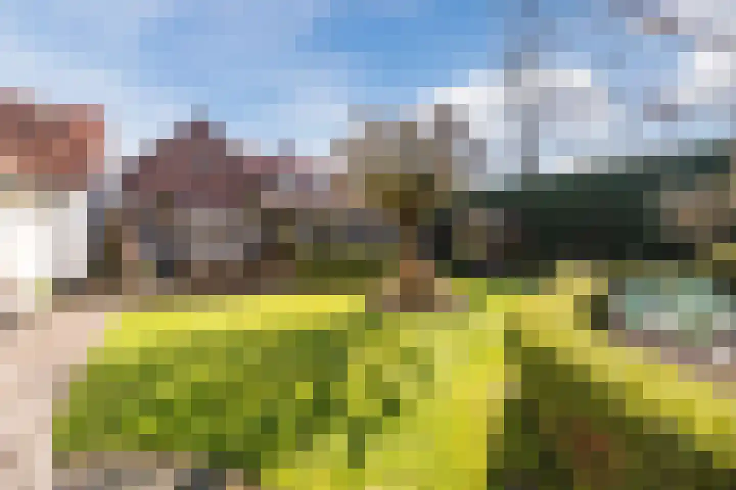 Oude Hoofdweg 31 Zegge thumbnail 49