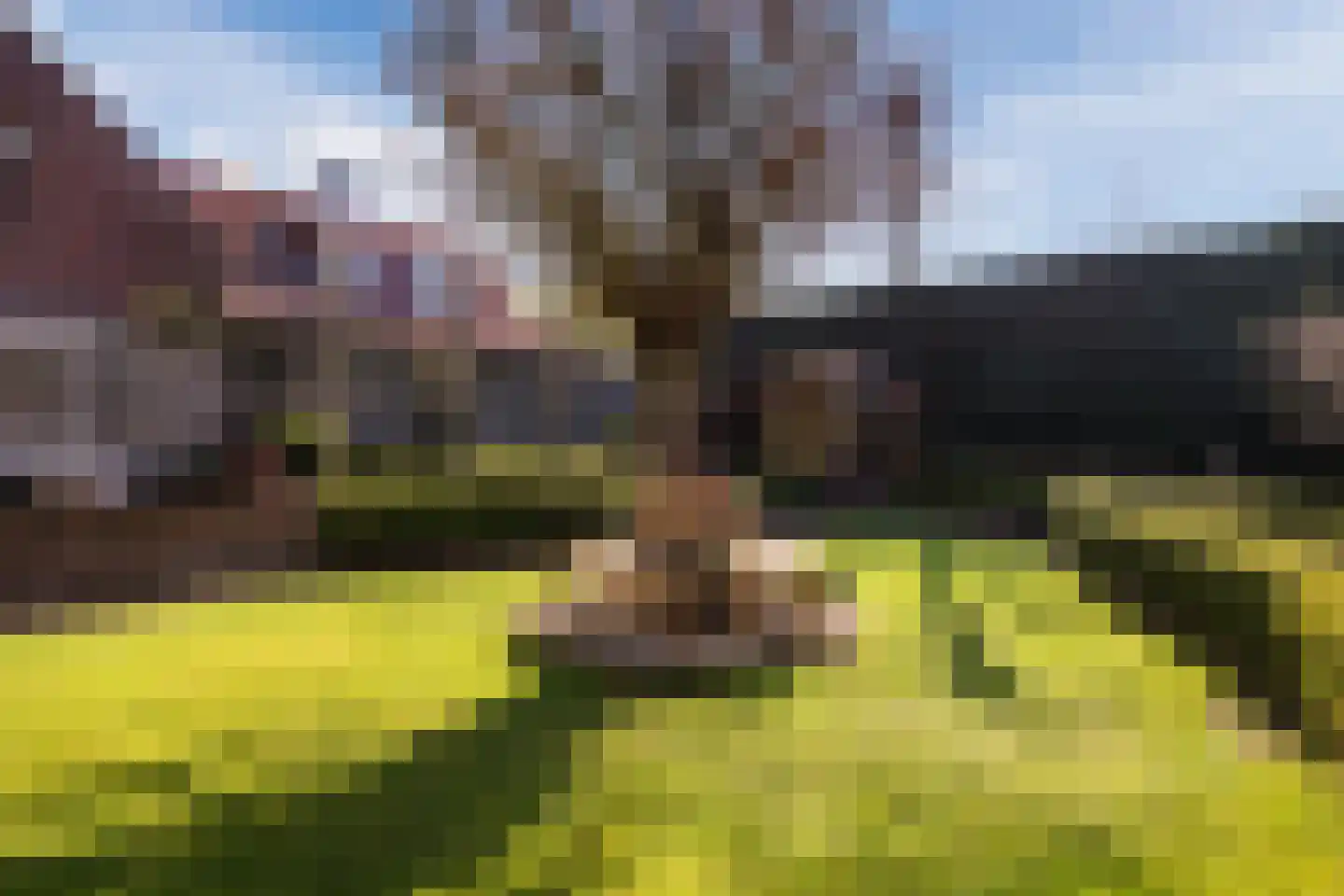 Oude Hoofdweg 31 Zegge thumbnail 58