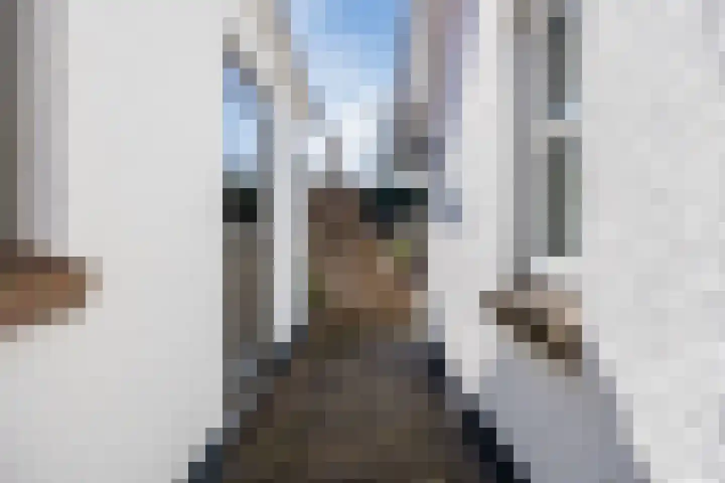Oude Hoofdweg 31 Zegge thumbnail 66