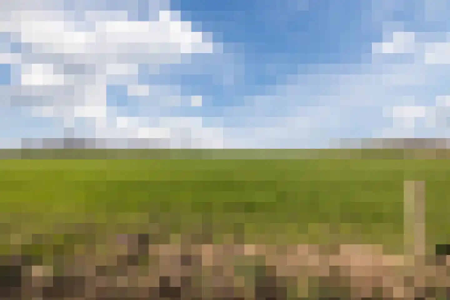 Oude Hoofdweg 31 Zegge thumbnail 72