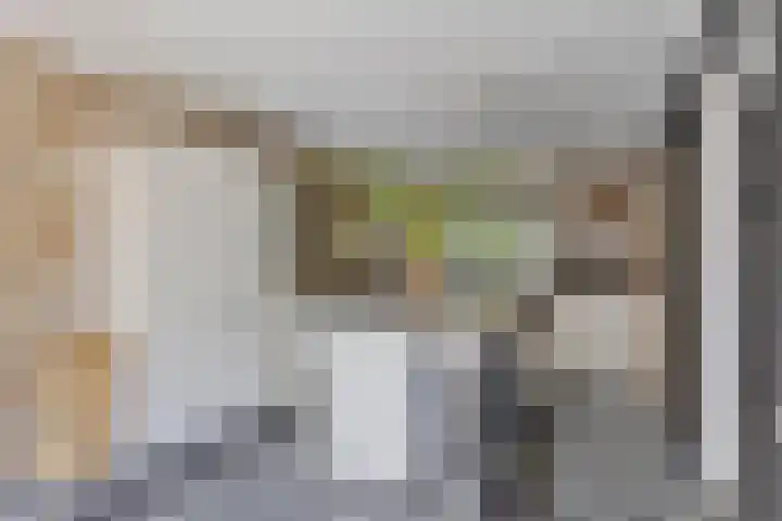 Oude Hoofdweg 38 Zegge thumbnail 13