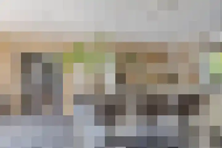 Oude Hoofdweg 38 Zegge thumbnail 14