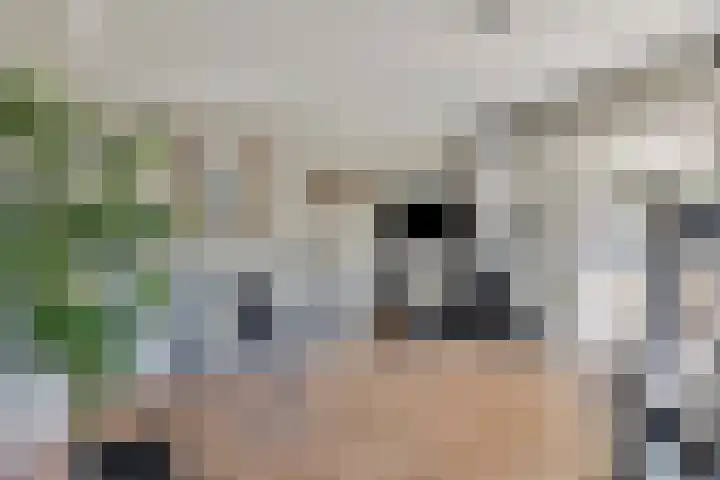 Oude Hoofdweg 38 Zegge thumbnail 17