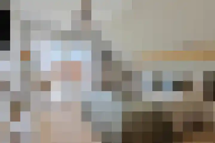 Oude Hoofdweg 38 Zegge thumbnail 22