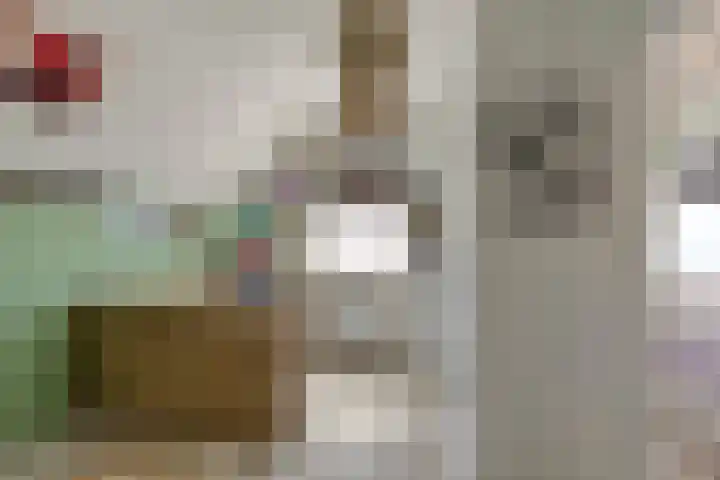 Oude Hoofdweg 38 Zegge thumbnail 25