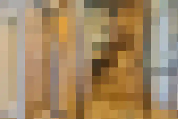 Oude Hoofdweg 38 Zegge thumbnail 28