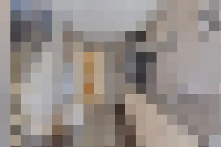 Oude Hoofdweg 38 Zegge thumbnail 29