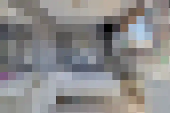 Oude Hoofdweg 38 Zegge thumbnail 33