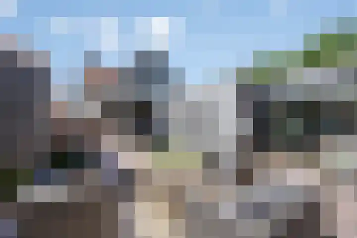 Oude Hoofdweg 38 Zegge thumbnail 34
