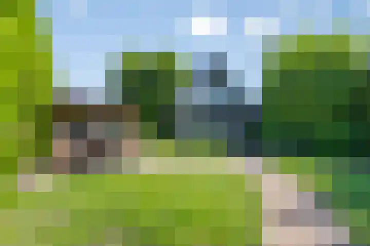 Oude Hoofdweg 38 Zegge thumbnail 37