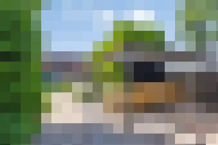 Oude Hoofdweg 38 Zegge thumbnail 39