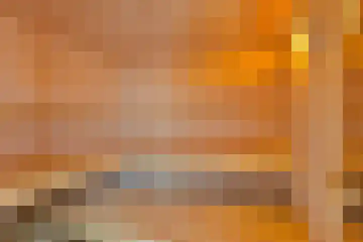 Oude Hoofdweg 38 Zegge thumbnail 43