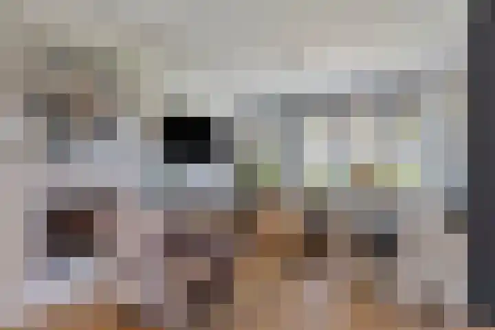 Oude Hoofdweg 38 Zegge thumbnail 8