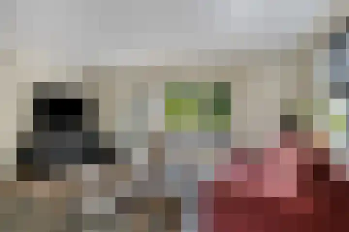 Oude Hoofdweg 40 Zegge thumbnail 10