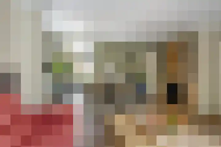 Oude Hoofdweg 40 Zegge thumbnail 11