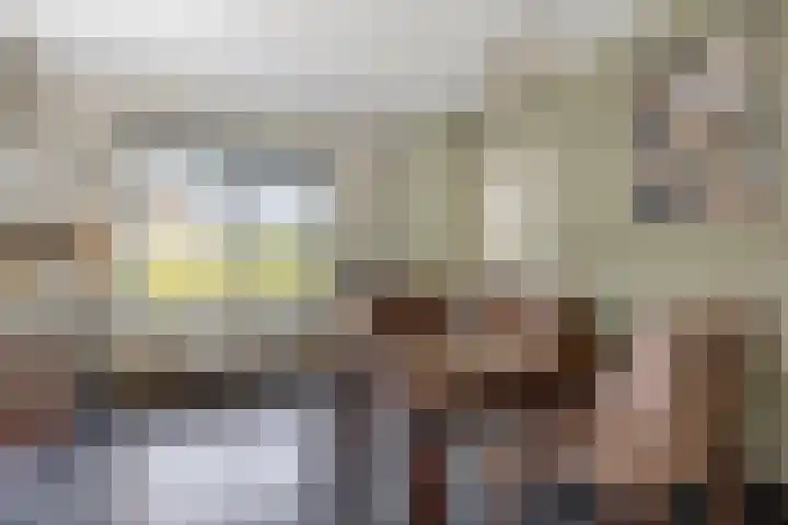 Oude Hoofdweg 40 Zegge thumbnail 13
