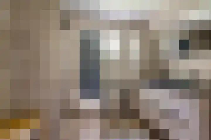 Oude Hoofdweg 40 Zegge thumbnail 17