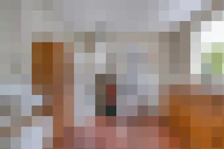 Oude Hoofdweg 40 Zegge thumbnail 18