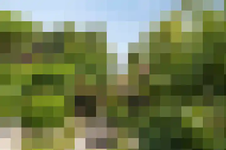 Oude Hoofdweg 40 Zegge thumbnail 27