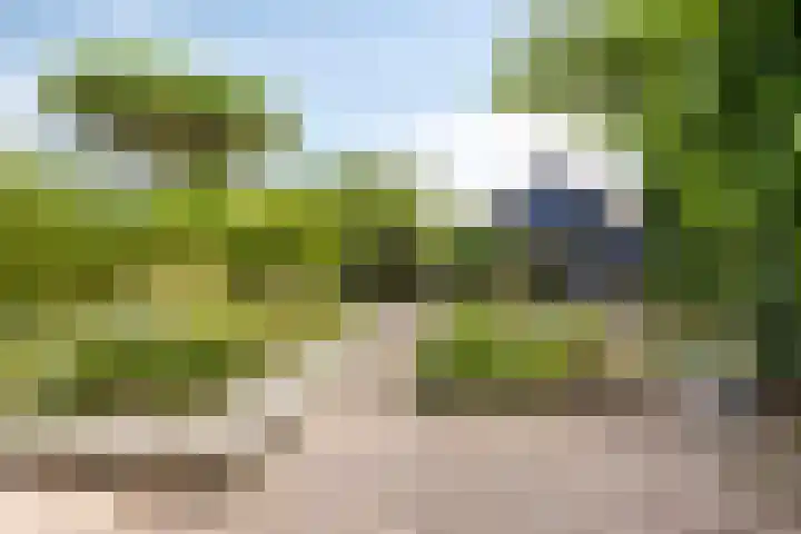 Oude Hoofdweg 40 Zegge thumbnail 28