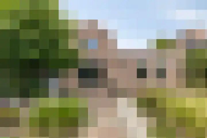 Oude Hoofdweg 40 Zegge thumbnail 29