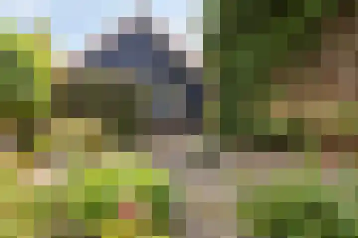 Oude Hoofdweg 40 Zegge thumbnail 30