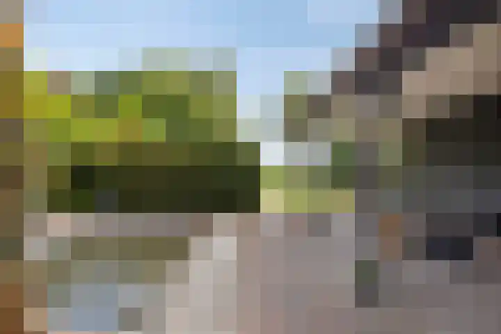 Oude Hoofdweg 40 Zegge thumbnail 31