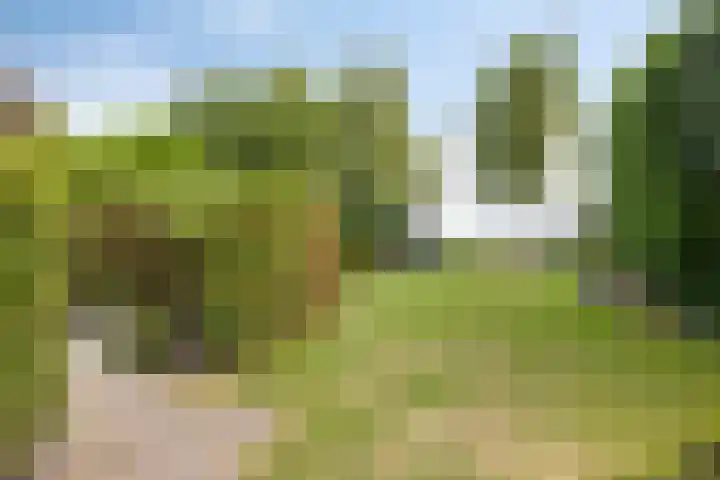 Oude Hoofdweg 40 Zegge thumbnail 33