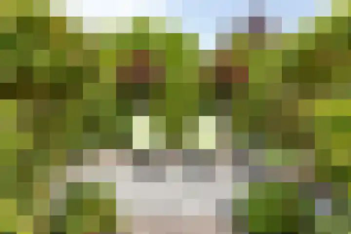 Oude Hoofdweg 40 Zegge thumbnail 34