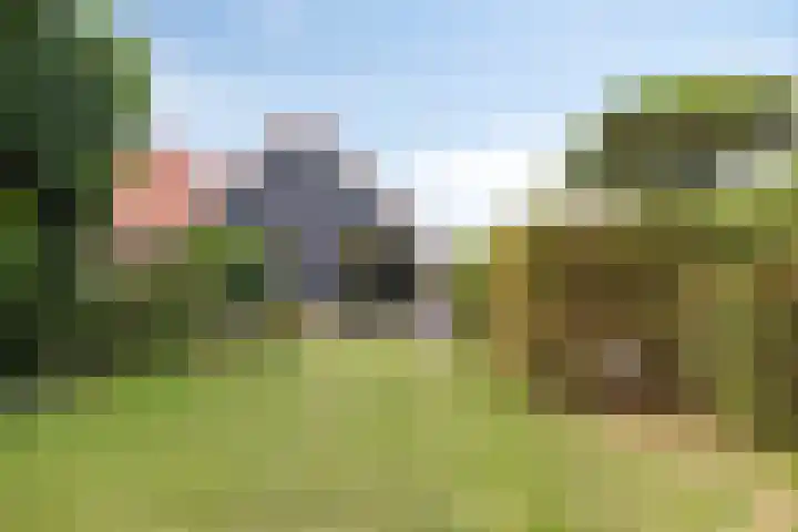 Oude Hoofdweg 40 Zegge thumbnail 35