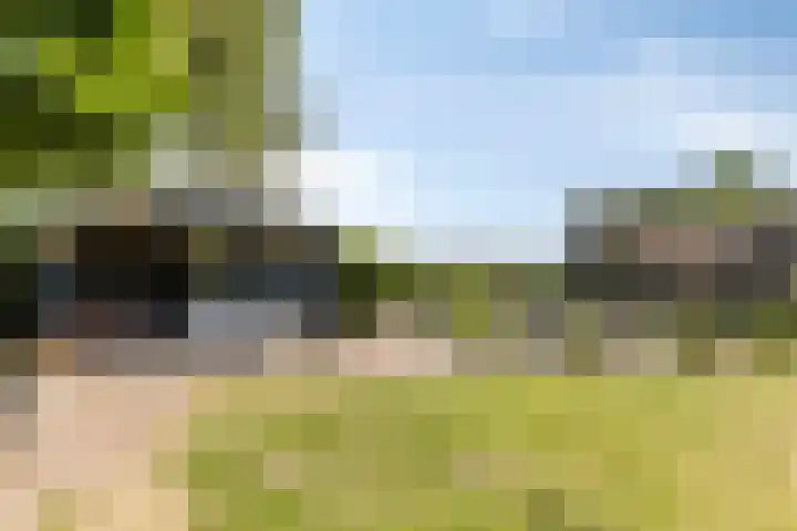 Oude Hoofdweg 40 Zegge thumbnail 36