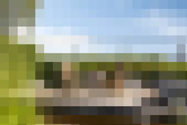 Oude Hoofdweg 40 Zegge thumbnail 38
