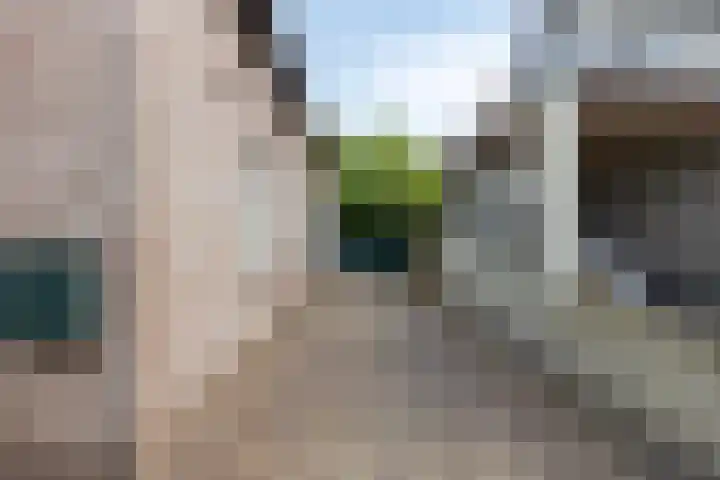 Oude Hoofdweg 40 Zegge thumbnail 4