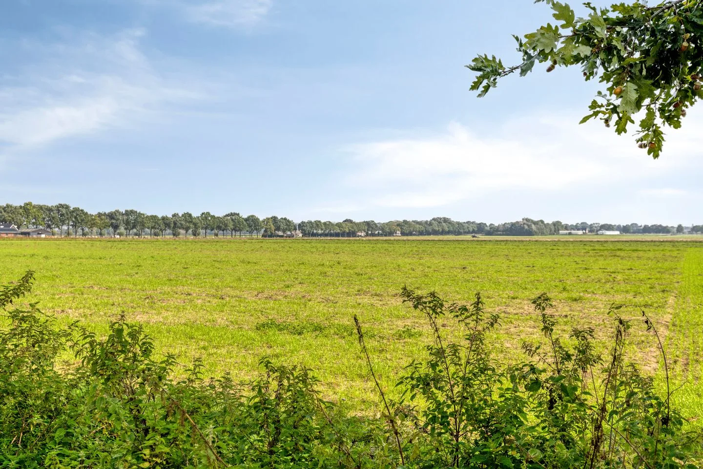 Oude Hoofdweg 44 Zegge thumbnail 5