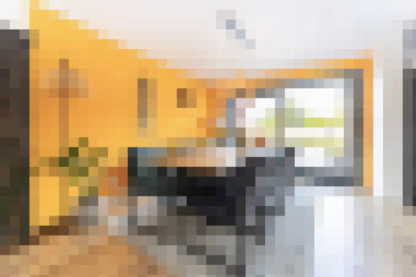 Oude Hoofdweg 52 Zegge thumbnail 10