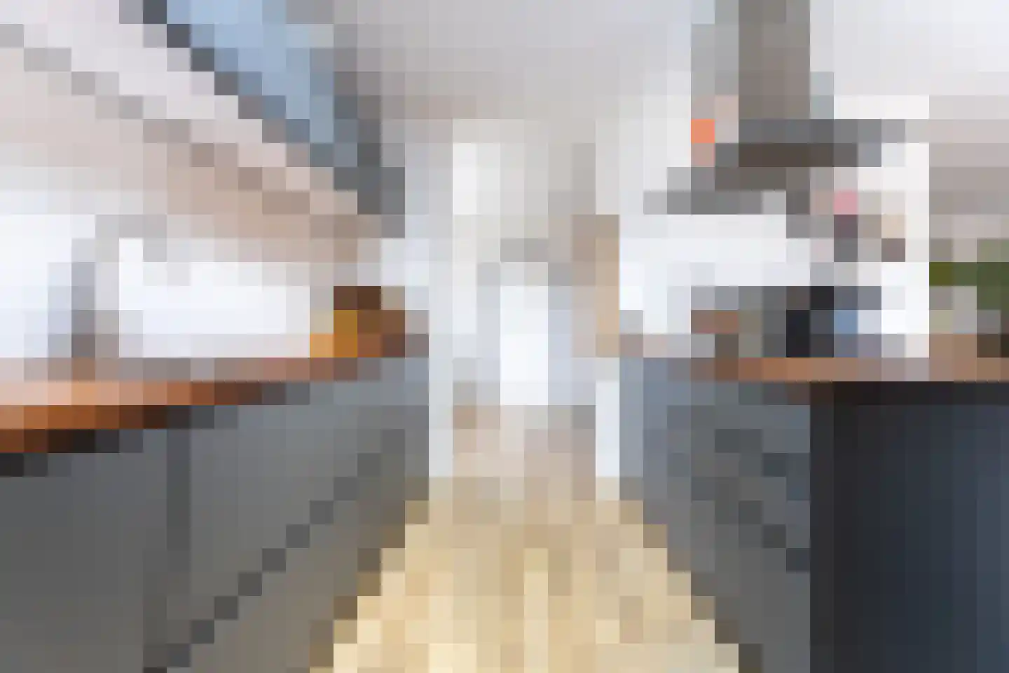 Oude Hoofdweg 52 Zegge thumbnail 15