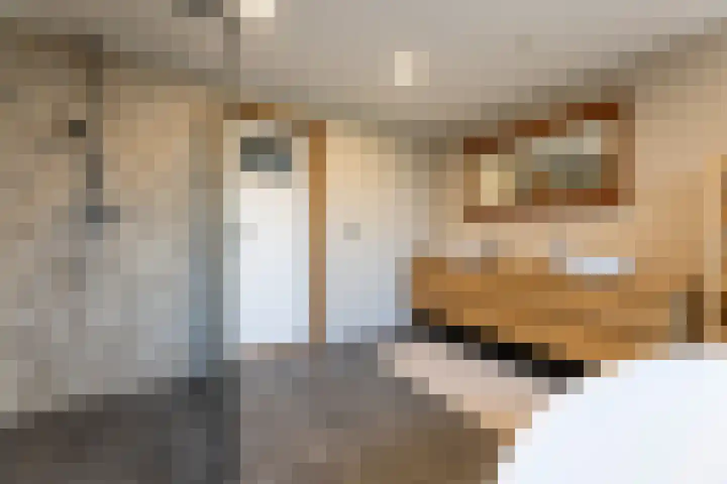 Oude Hoofdweg 52 Zegge thumbnail 20