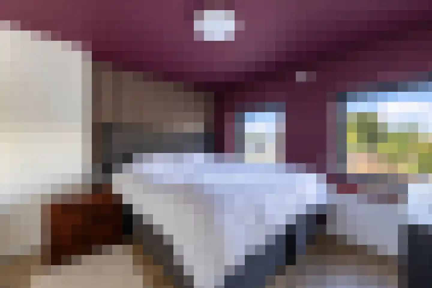Oude Hoofdweg 52 Zegge thumbnail 25