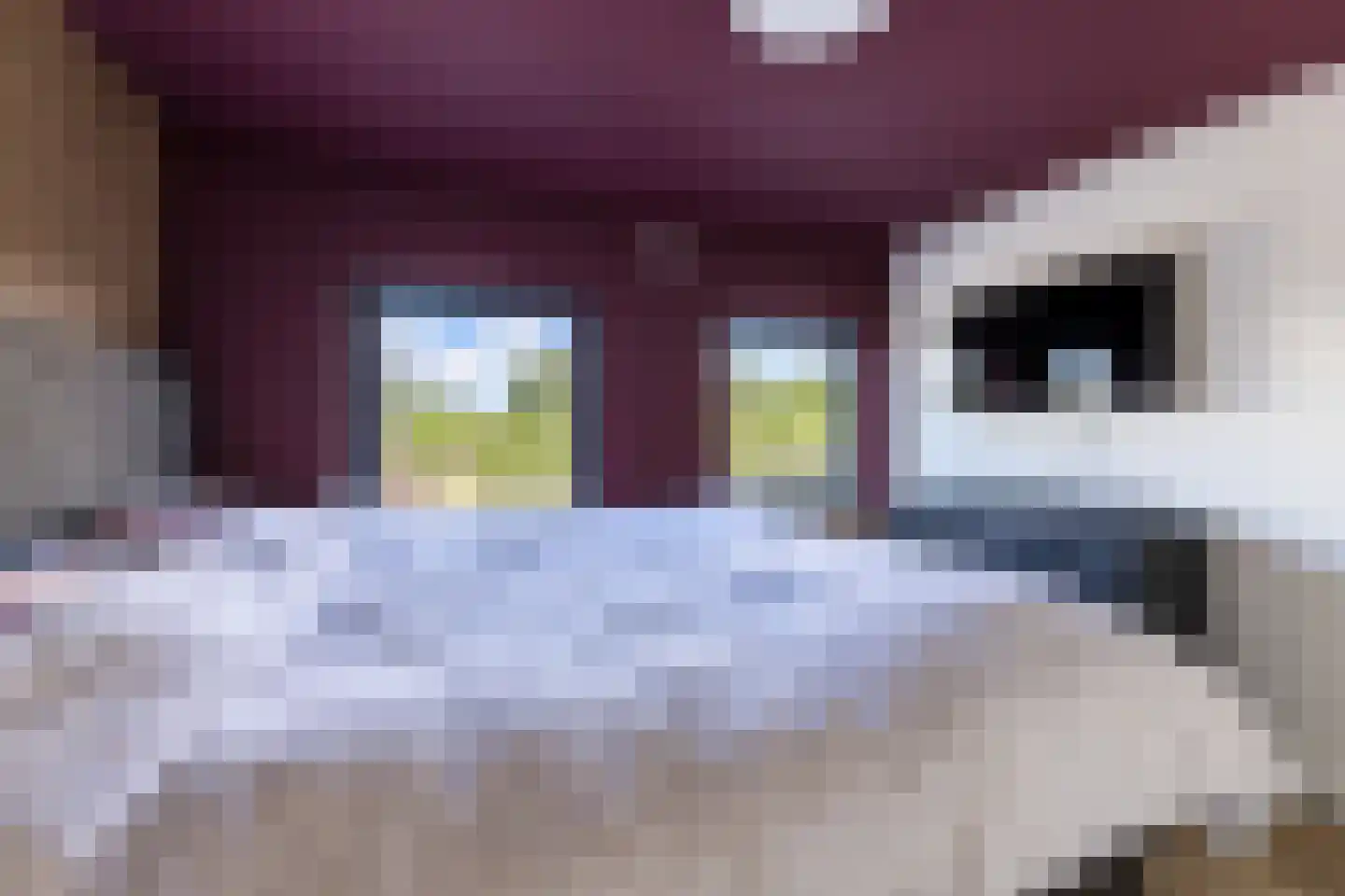 Oude Hoofdweg 52 Zegge thumbnail 26