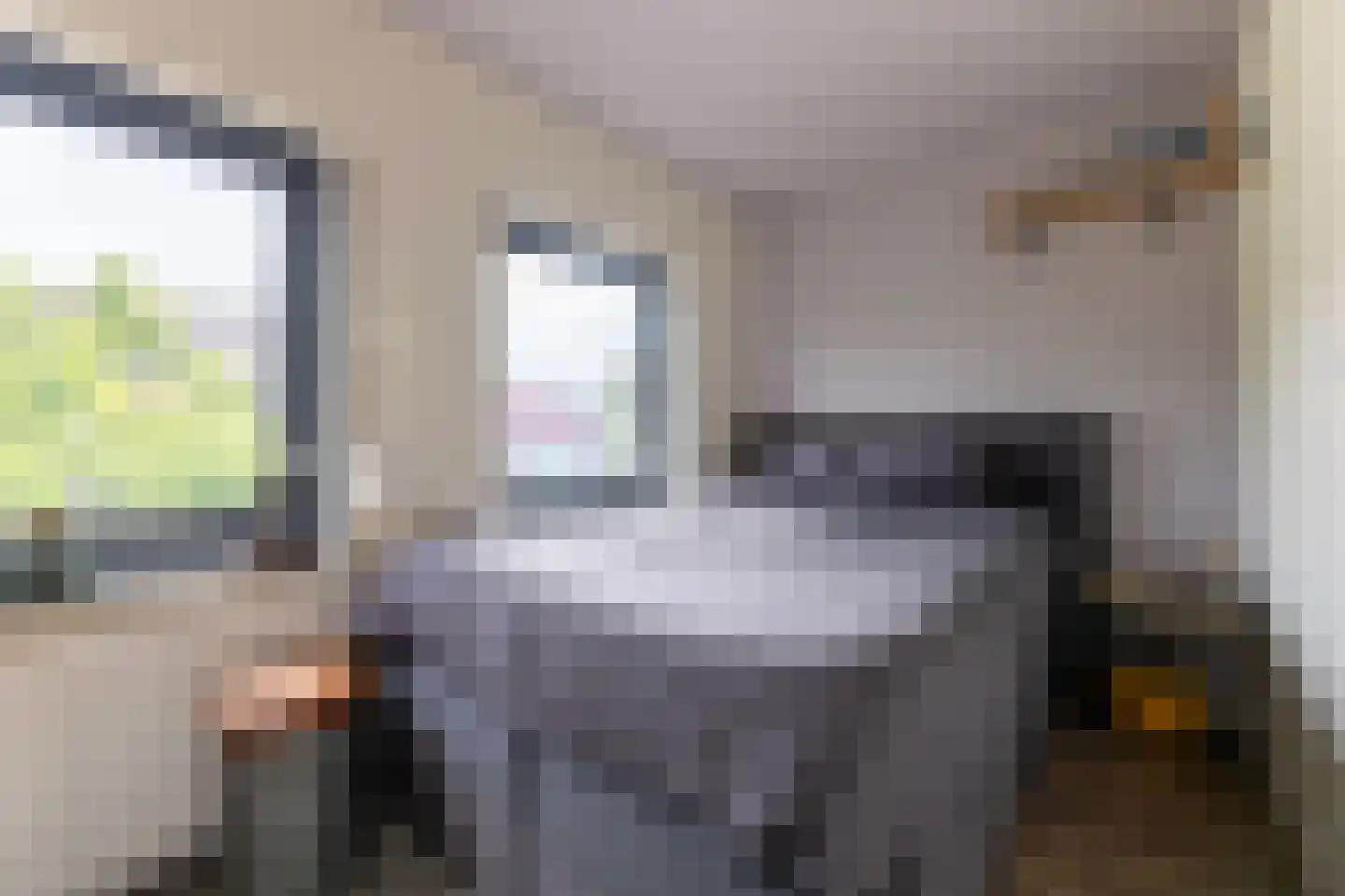 Oude Hoofdweg 52 Zegge thumbnail 30