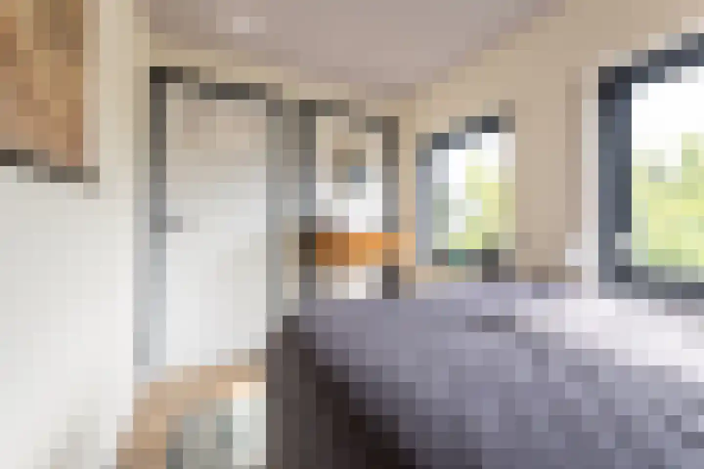Oude Hoofdweg 52 Zegge thumbnail 31