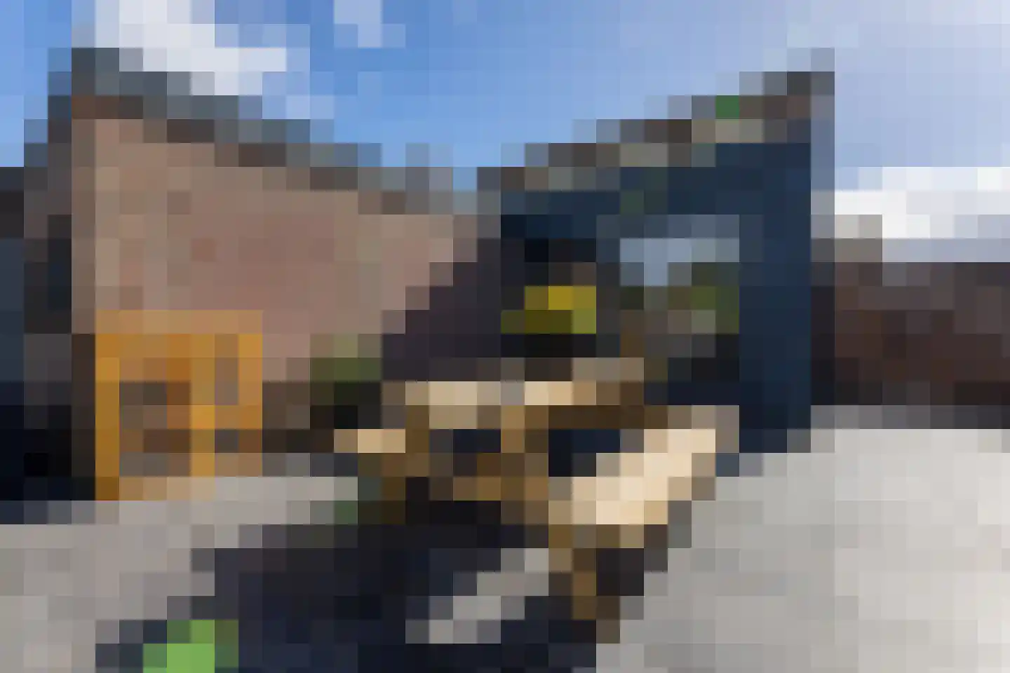 Oude Hoofdweg 52 Zegge thumbnail 33
