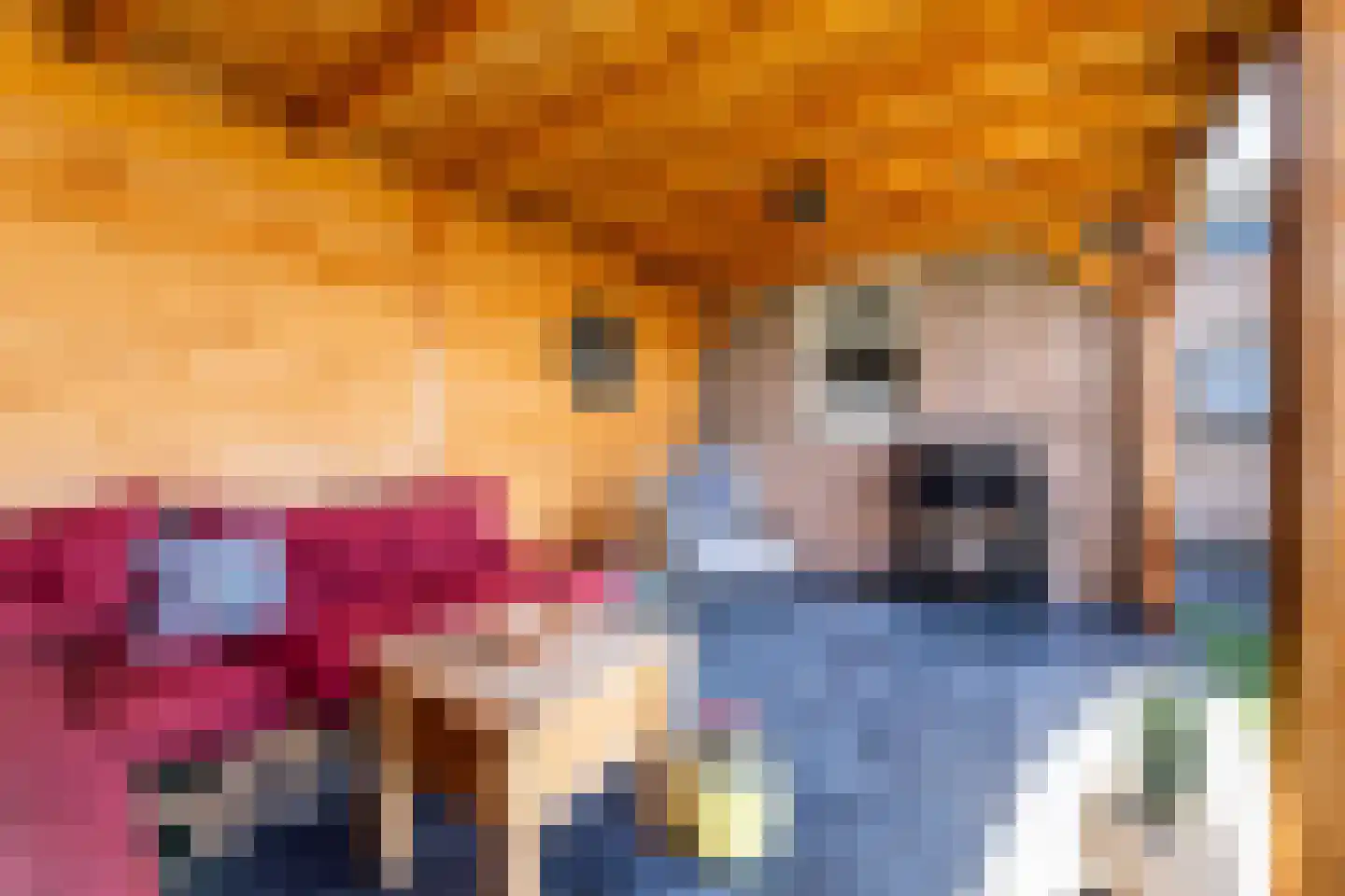Oude Hoofdweg 52 Zegge thumbnail 42