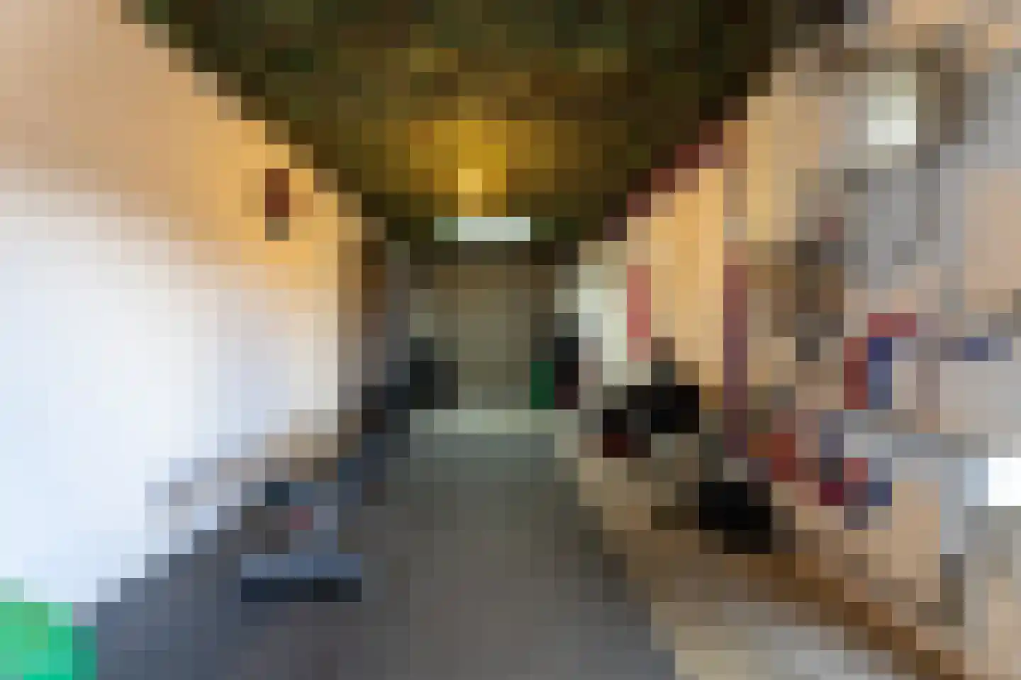 Oude Hoofdweg 52 Zegge thumbnail 43