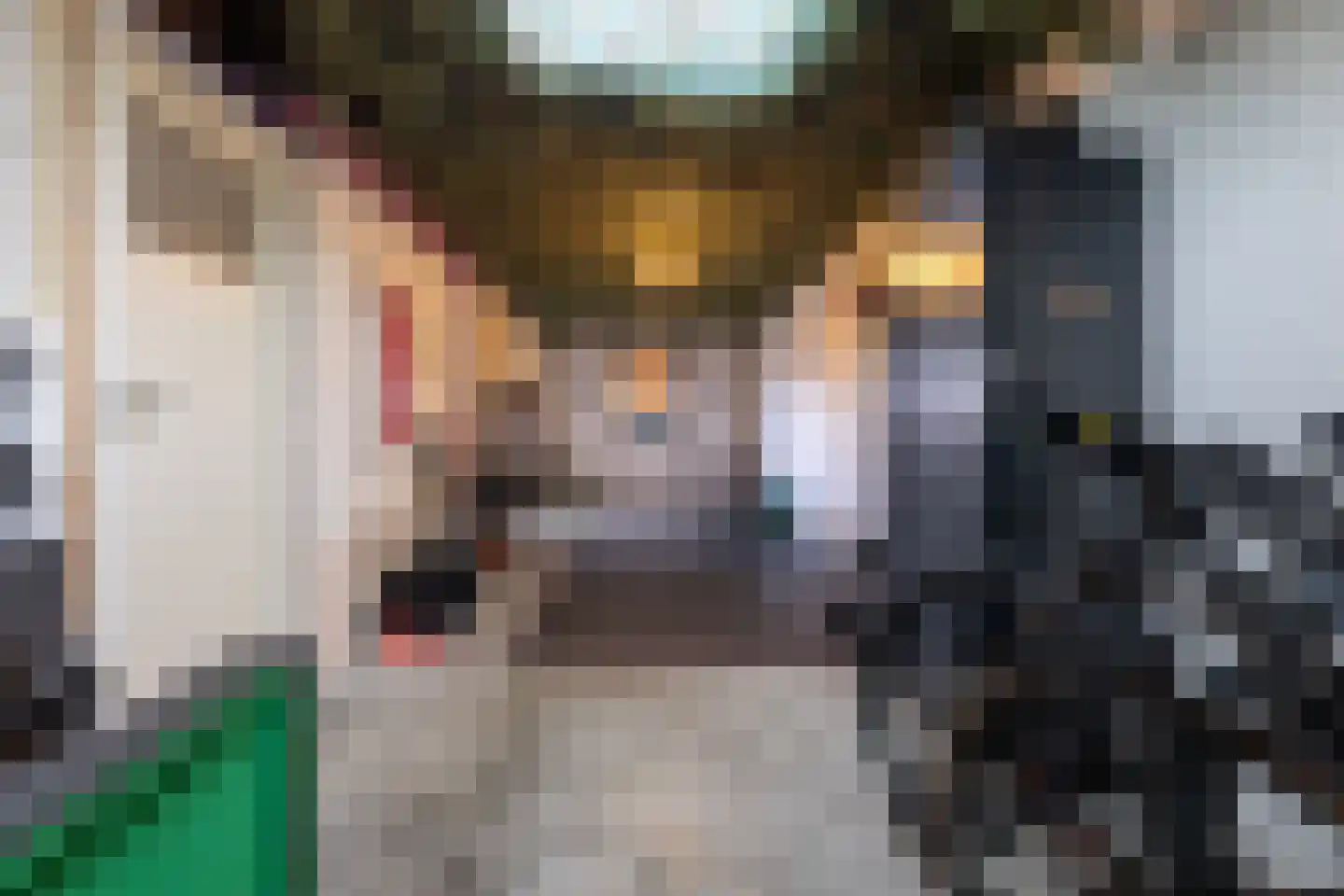 Oude Hoofdweg 52 Zegge thumbnail 44
